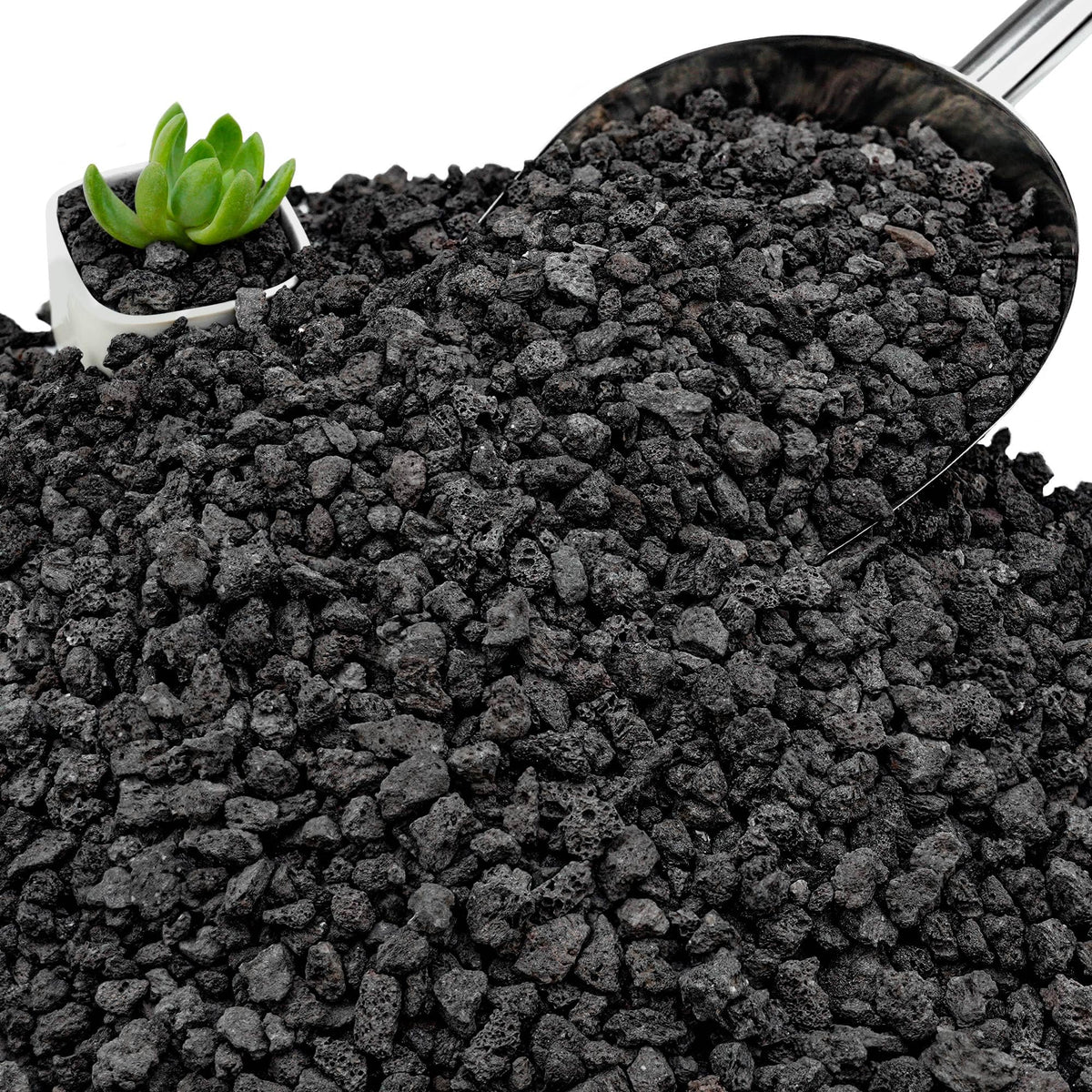 NUPICK black lava rocks for succulent top dressing provide decorative texture and drainage.