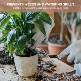 NUPICK decorative gravel provides color and texture for vases and terrariums