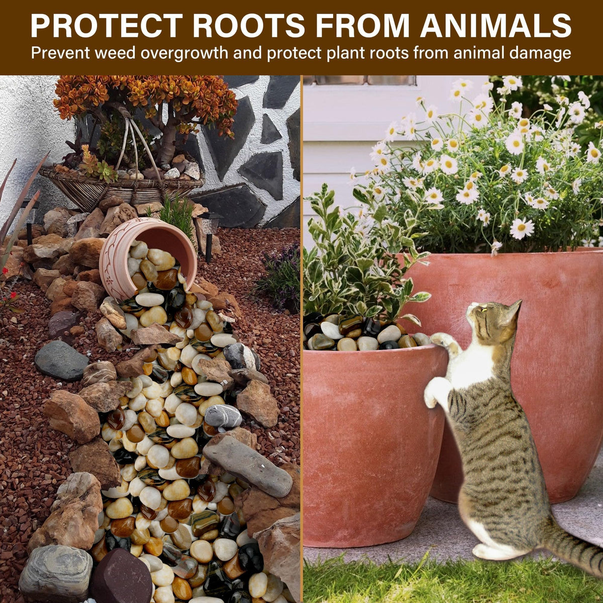 NUPICK decorative rocks add planter decor and help drainage.