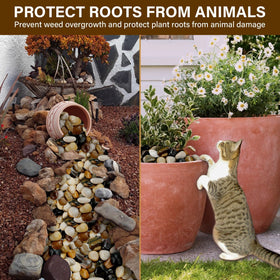 NUPICK decorative rocks add planter decor and help drainage.