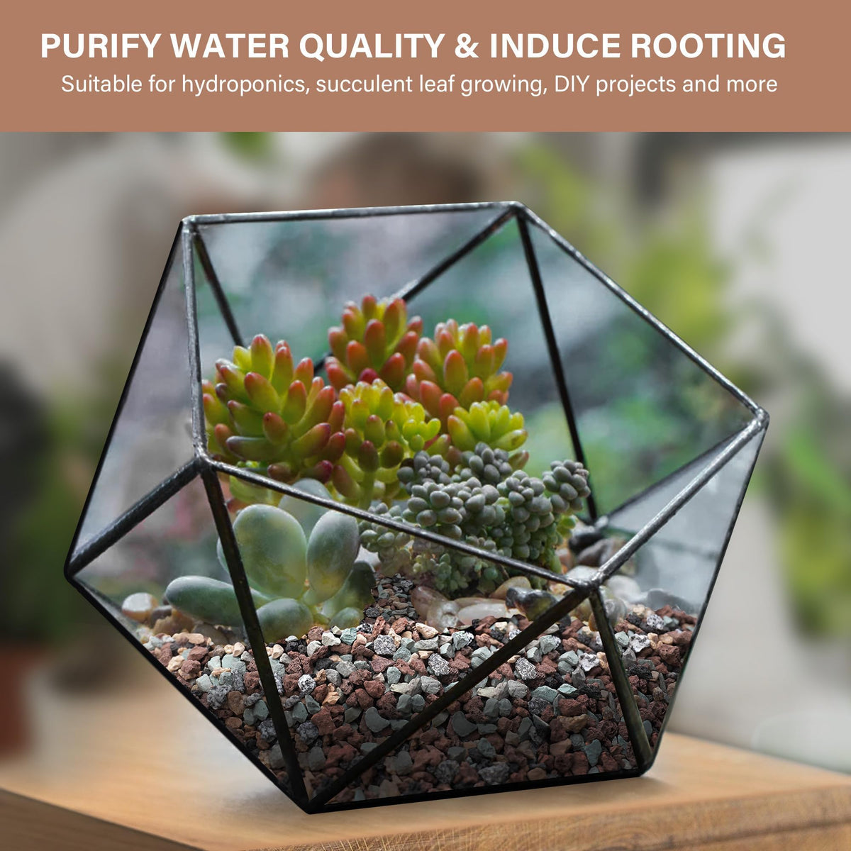 NUPICK lava rocks promote drainage and prevent soil compaction in mixed plantings