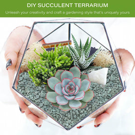 NUPICK green zeolite aquarium landscaping gravel enhances depth and a natural aquascape