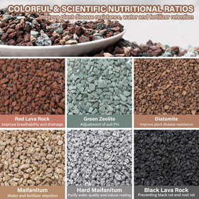 NUPICK succulent potting lava rocks, 3-8in, improve drainage around roots