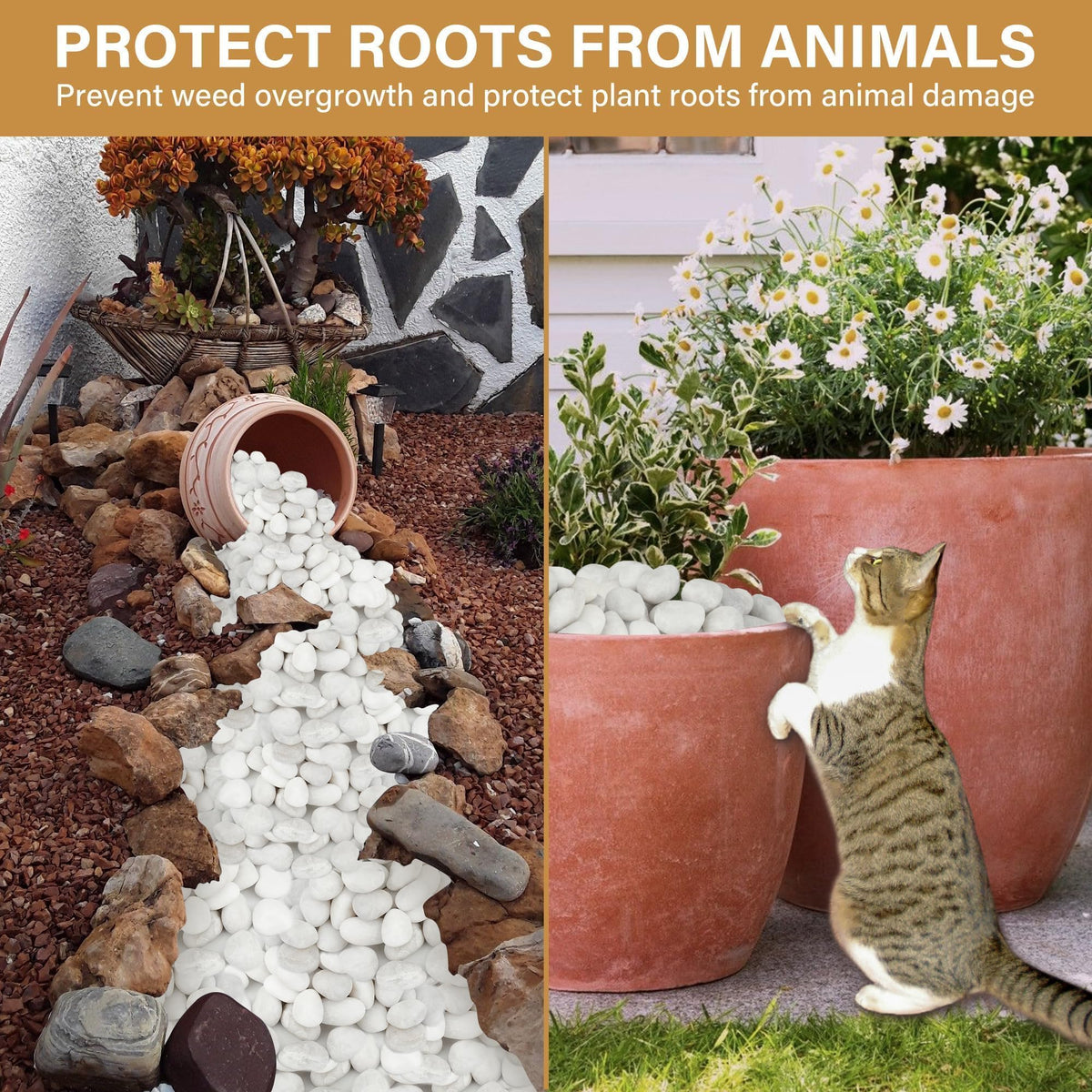 NUPICK white river rocks for aquariums adds natural texture and cleanliness.