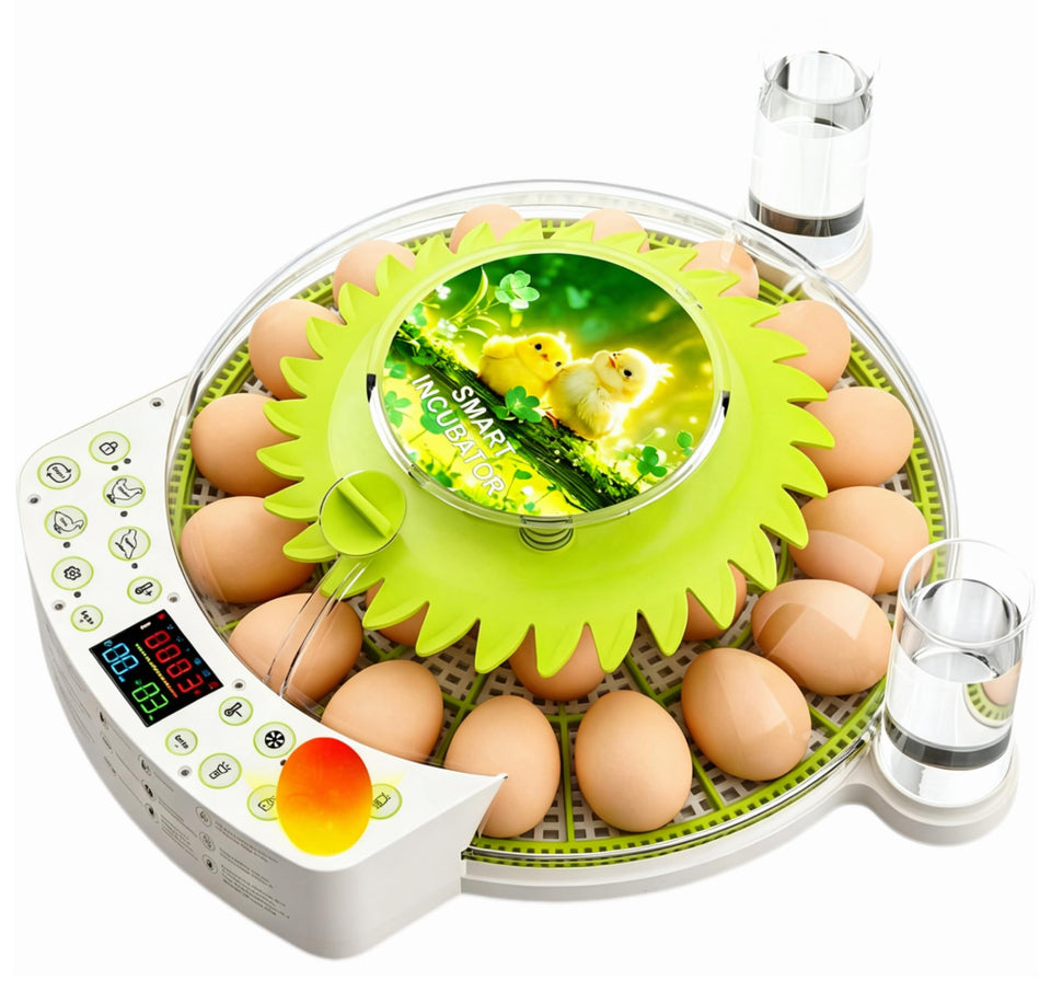 NUPLEA 22-egg incubator with 360° view for observation without opening the lid.