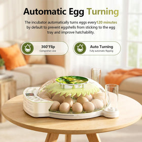 NUPLEA transparent cover lets you monitor progress while preserving humidity.
