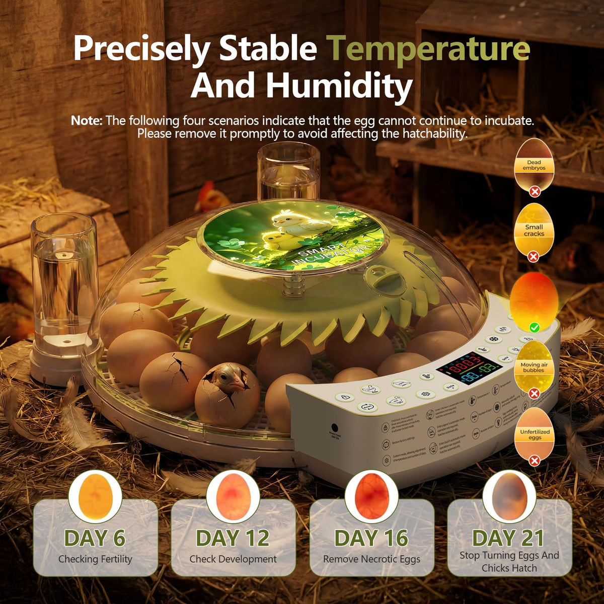 NUPLEA two-tray sizes accommodate multiple egg types.