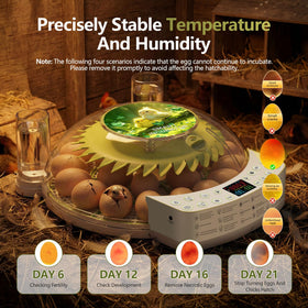 NUPLEA two-tray sizes accommodate multiple egg types.