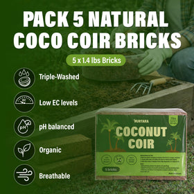 NURTARA coconut coir bricks soaking to expand for seed starting and pots