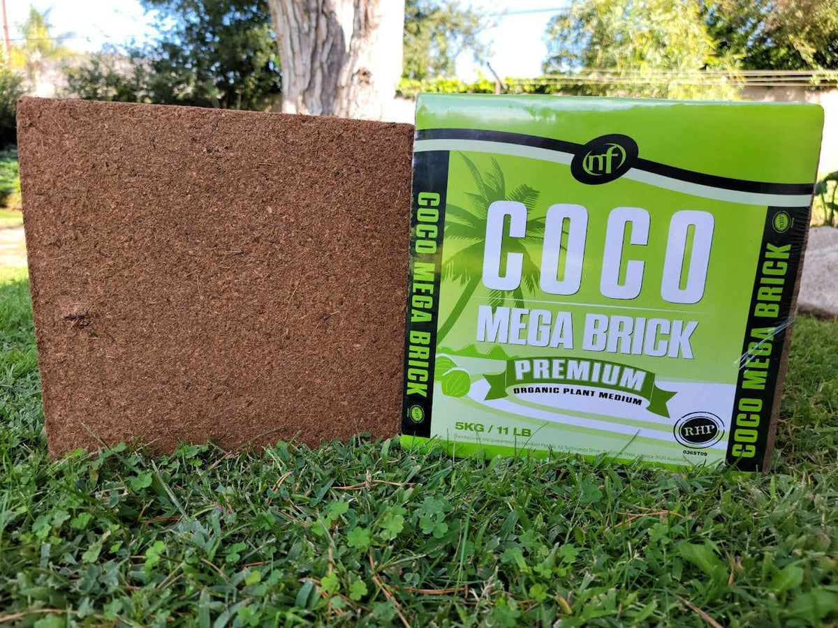 Nutrifield coco coir indoor garden setup versatile for pots and planters