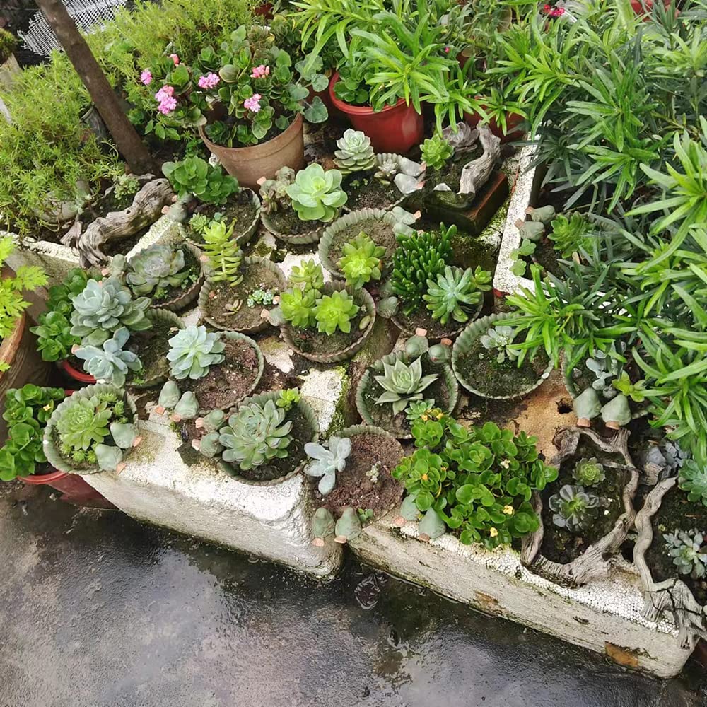 NWFashion compact pot for small plants offers portable decoration with style.