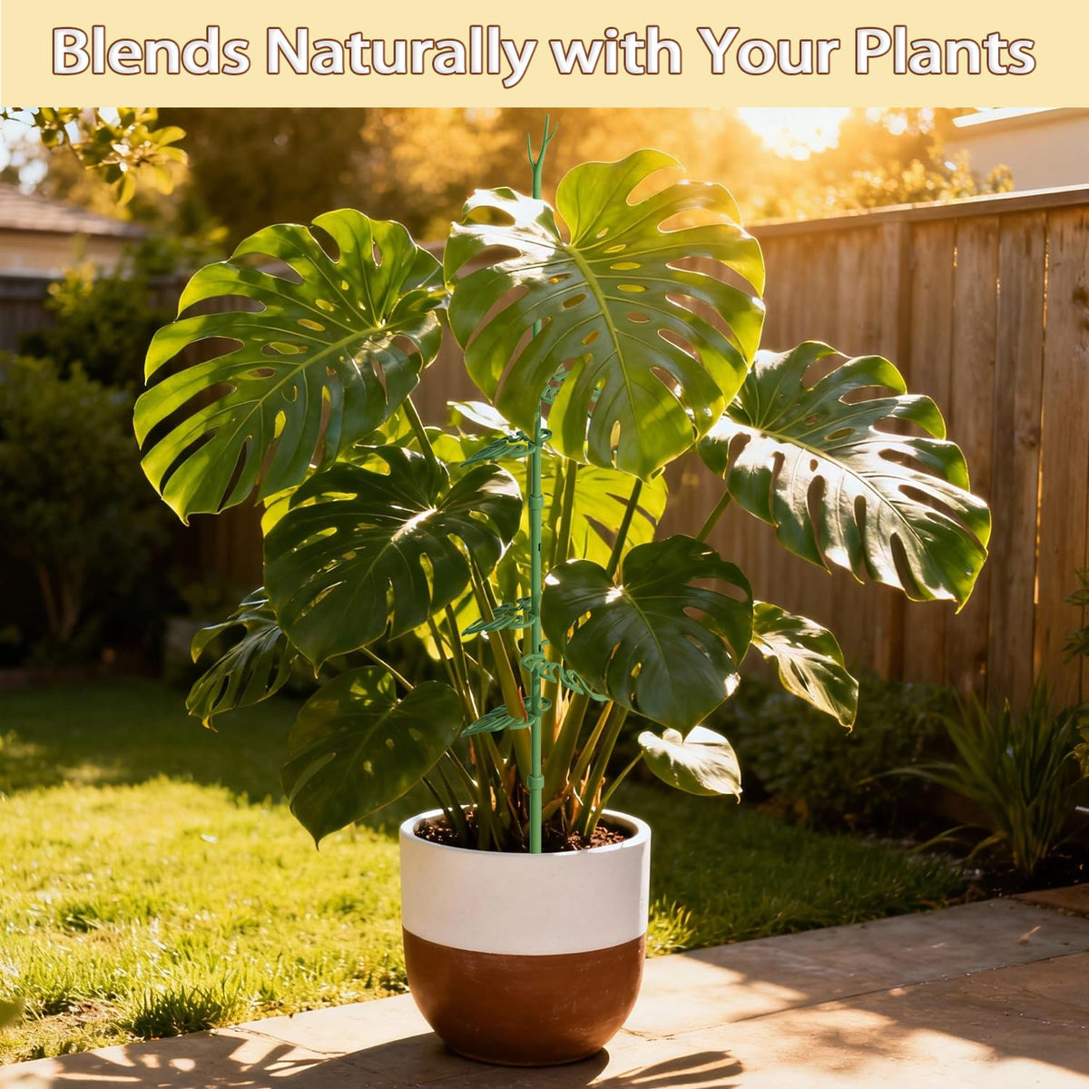 Nyobely 2-pack includes eight leaf clips for versatile indoor or outdoor setups.