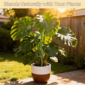 Nyobely 2-pack includes eight leaf clips for versatile indoor or outdoor setups.