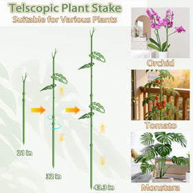 Nyobely rust-resistant stainless steel stem suitable for indoor and outdoor use.