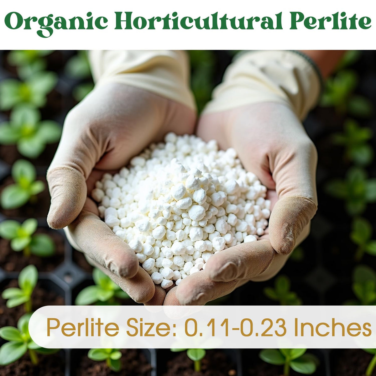 Nyobely Lightweight Perlite supports easy root expansion without soil compaction