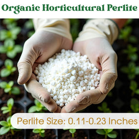 Nyobely Lightweight Perlite supports easy root expansion without soil compaction