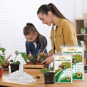 Nyobely Perlite for hydroponics and soil mixes builds robust root systems