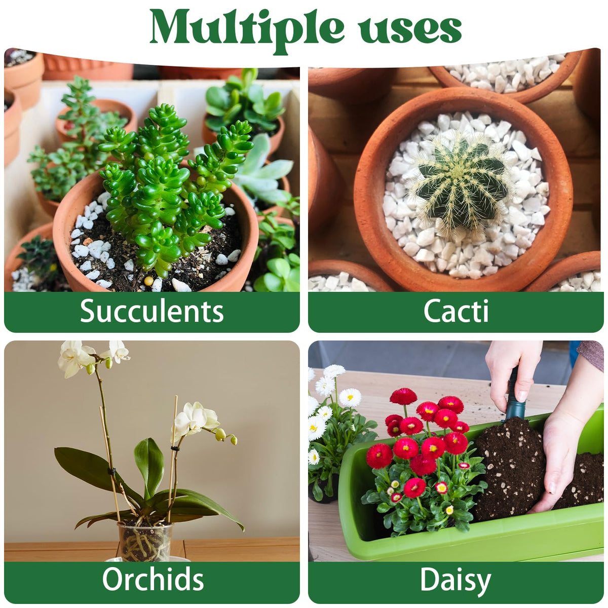 Nyobely Perlite helps indoor and outdoor plants thrive with better airflow