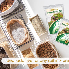 Nyobely Perlite in potting mix enhances drainage while maintaining moisture