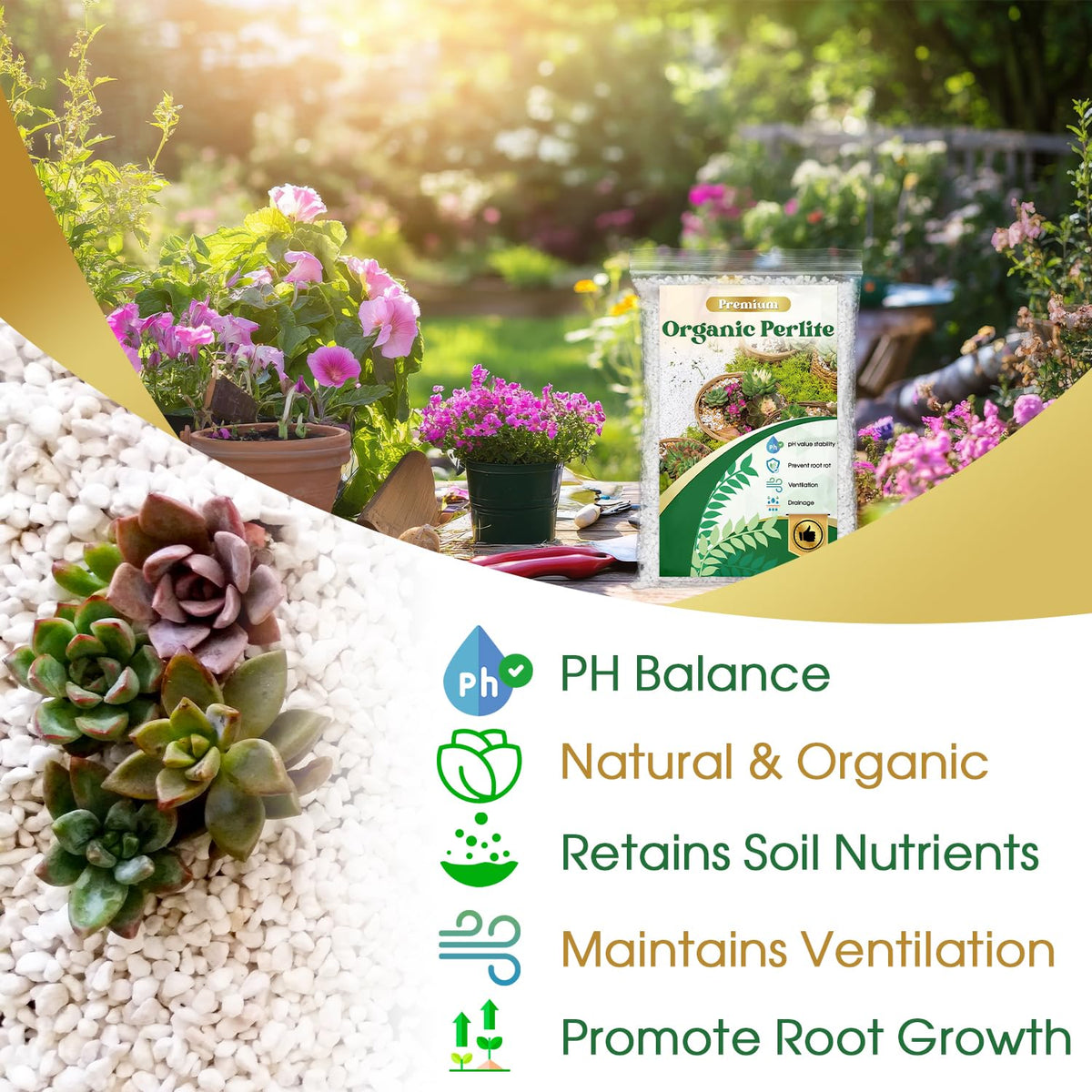 Nyobely Premium Horticultural Perlite in pots promoting healthier root growth
