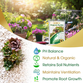 Nyobely Premium Horticultural Perlite in pots promoting healthier root growth