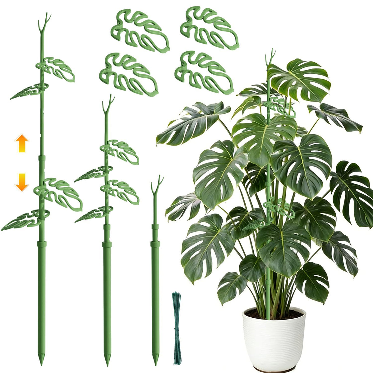 Nyobely telescoping plant stake extending from 21 to 43.3 inches for adaptable support.