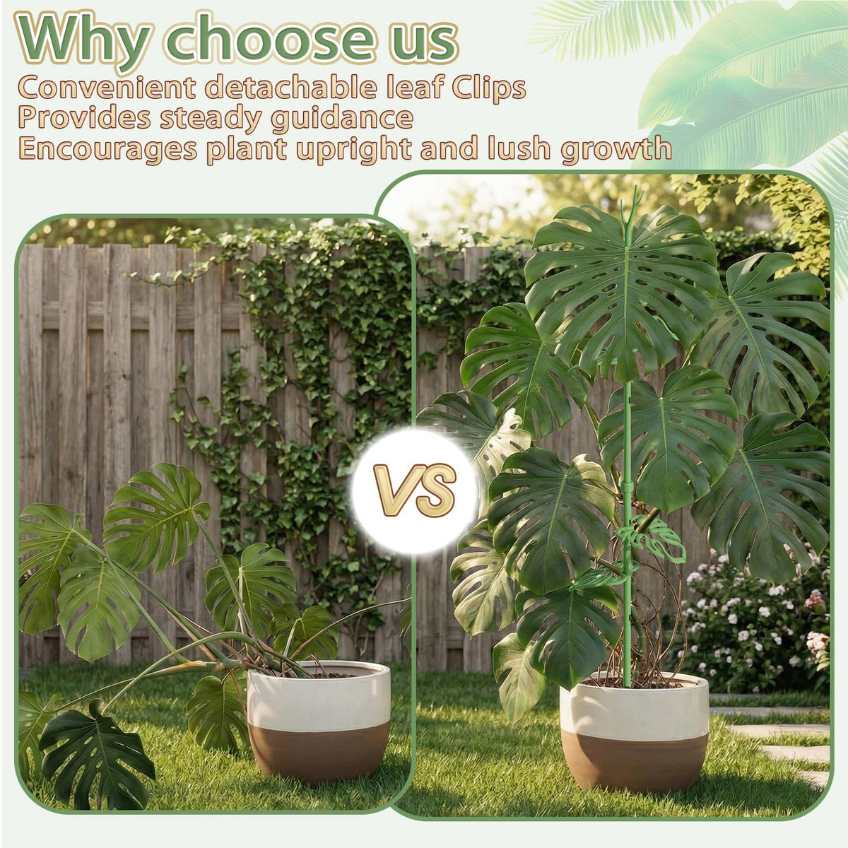 Nyobely upgraded multi-plant design fits monsteras, pothos, tomatoes and more.