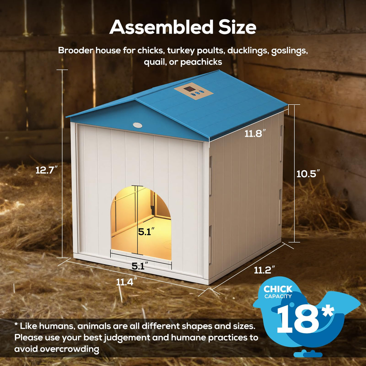 NyPots assembled dimensions 11.4 by 11.2 inches for chick space