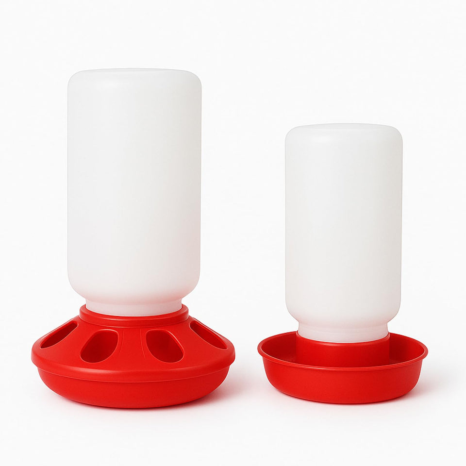 NZJWZS Baby Chick Feeder with 8 holes for multi-chick feeding.