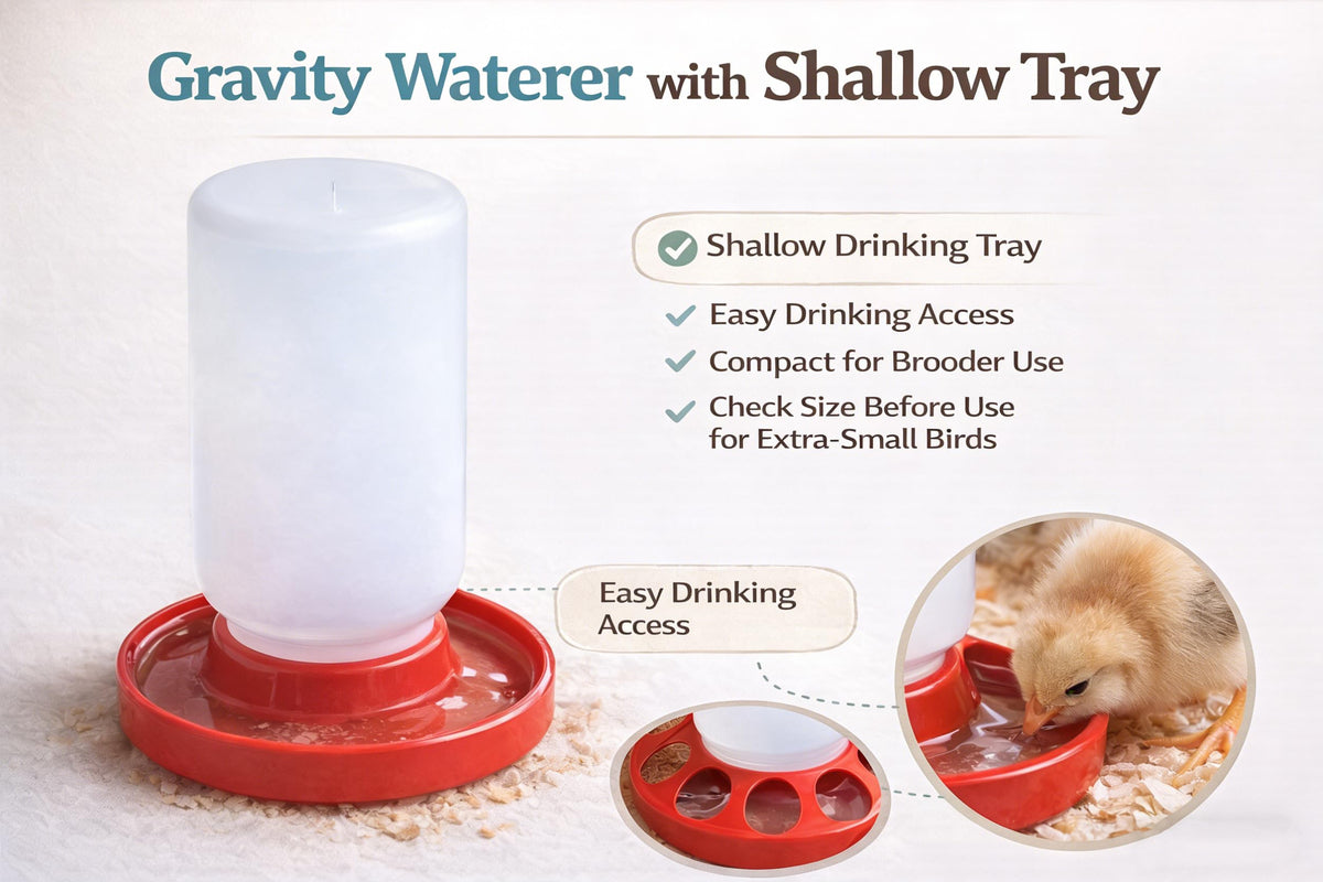NZJWZS Compact Brooder Feeder fits small brooders, reducing clutter.