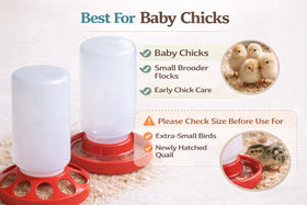 NZJWZS Compact Brooder Waterer with shallow tray for easy drinking.