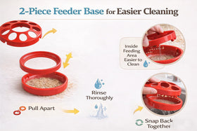 NZJWZS Easy-clean Feeder Base for thorough cleaning.