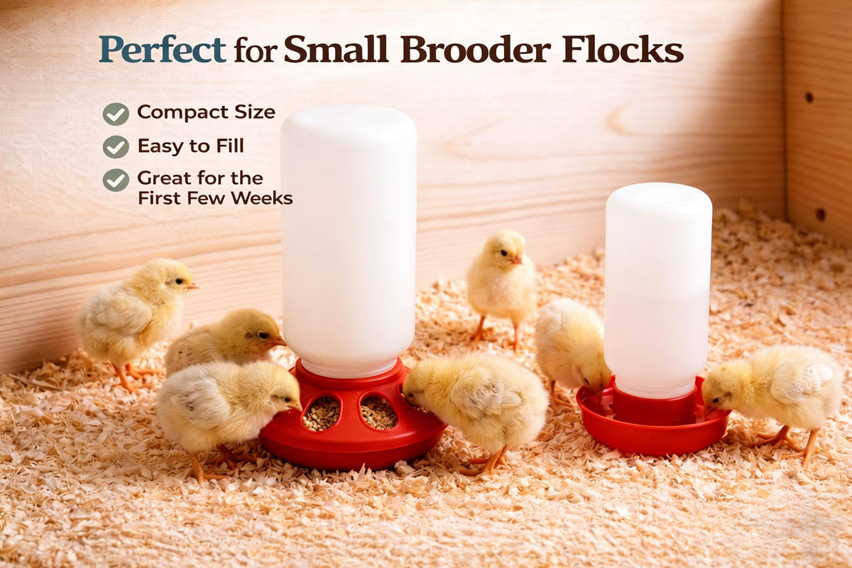 NZJWZS Easy-refill Waterer Top-ups save daily time.