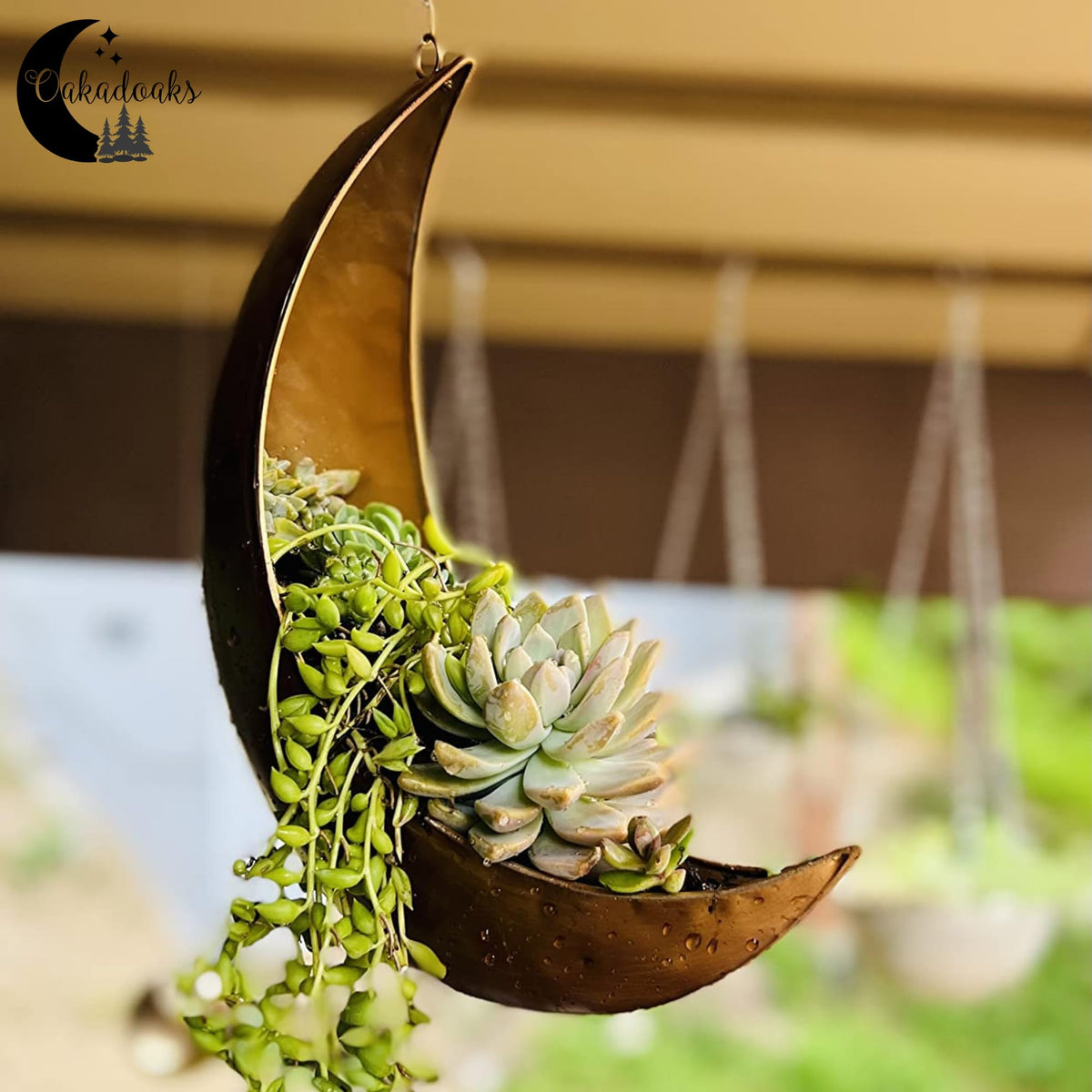 Oakadoaks Moon Planter ships in gift-ready packaging