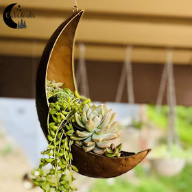 Oakadoaks Moon Planter ships in gift-ready packaging