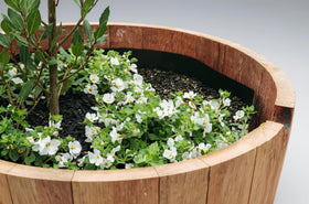 OAKENZ barrel feet compatibility demonstrates enhanced drainage and deck protection.