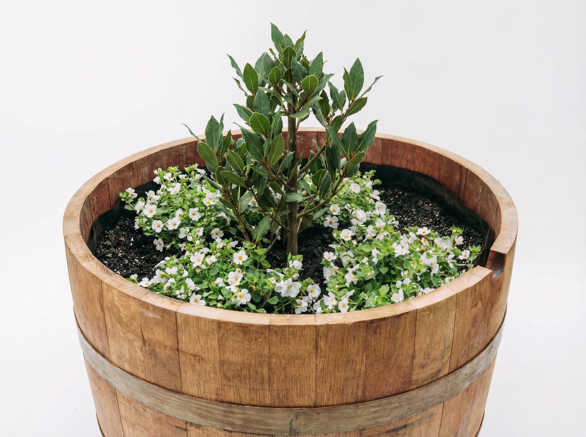 OAKENZ New Zealand design emphasizes recyclability for long-term planter protection.