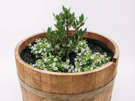 OAKENZ New Zealand design emphasizes recyclability for long-term planter protection.