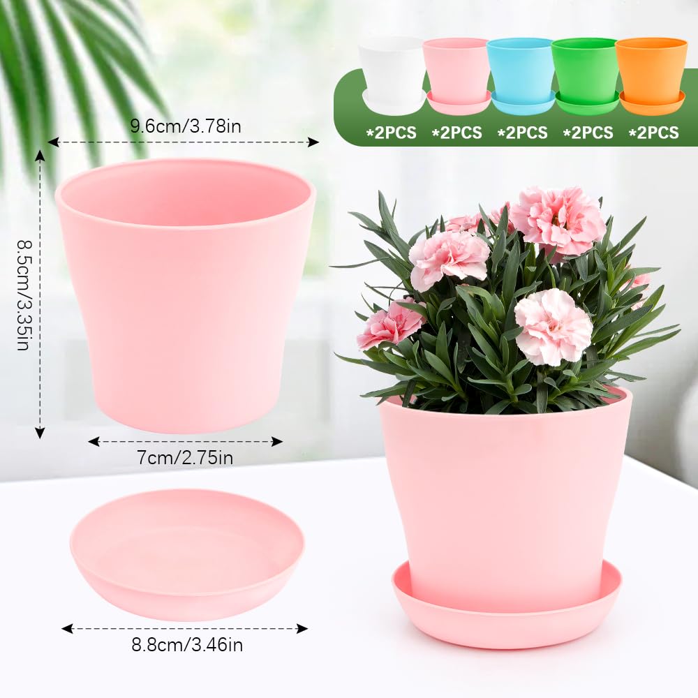 Close-up of colorful OALCQ 4-inch pots showing vivid color options