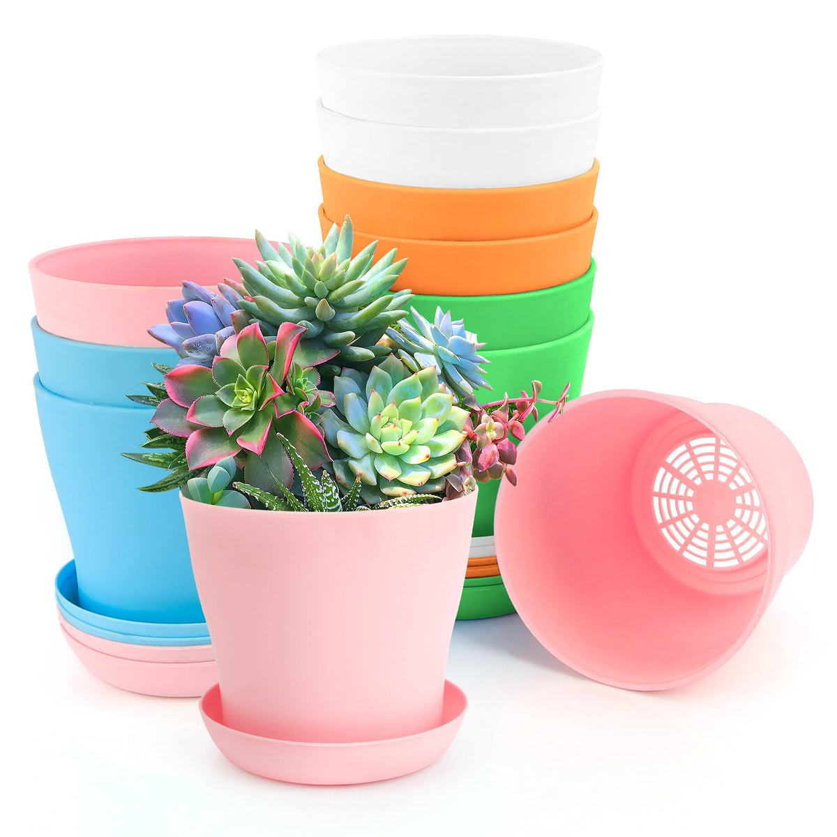 OALCQ 4-inch plant pots set of 10 with drainage holes for healthy root growth
