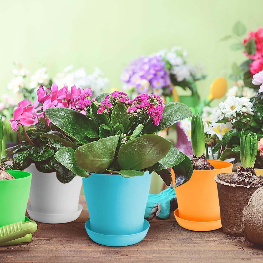 Durable OALCQ plant pots resisting sun exposure in bright spaces