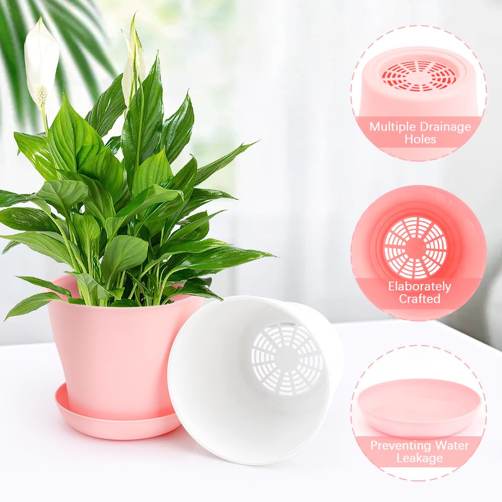 Plastic nursery pots with saucers keeping surfaces clean and dry