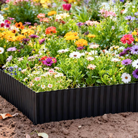 OasisTrim garden edging shows a sleek profile for durable lawn borders.