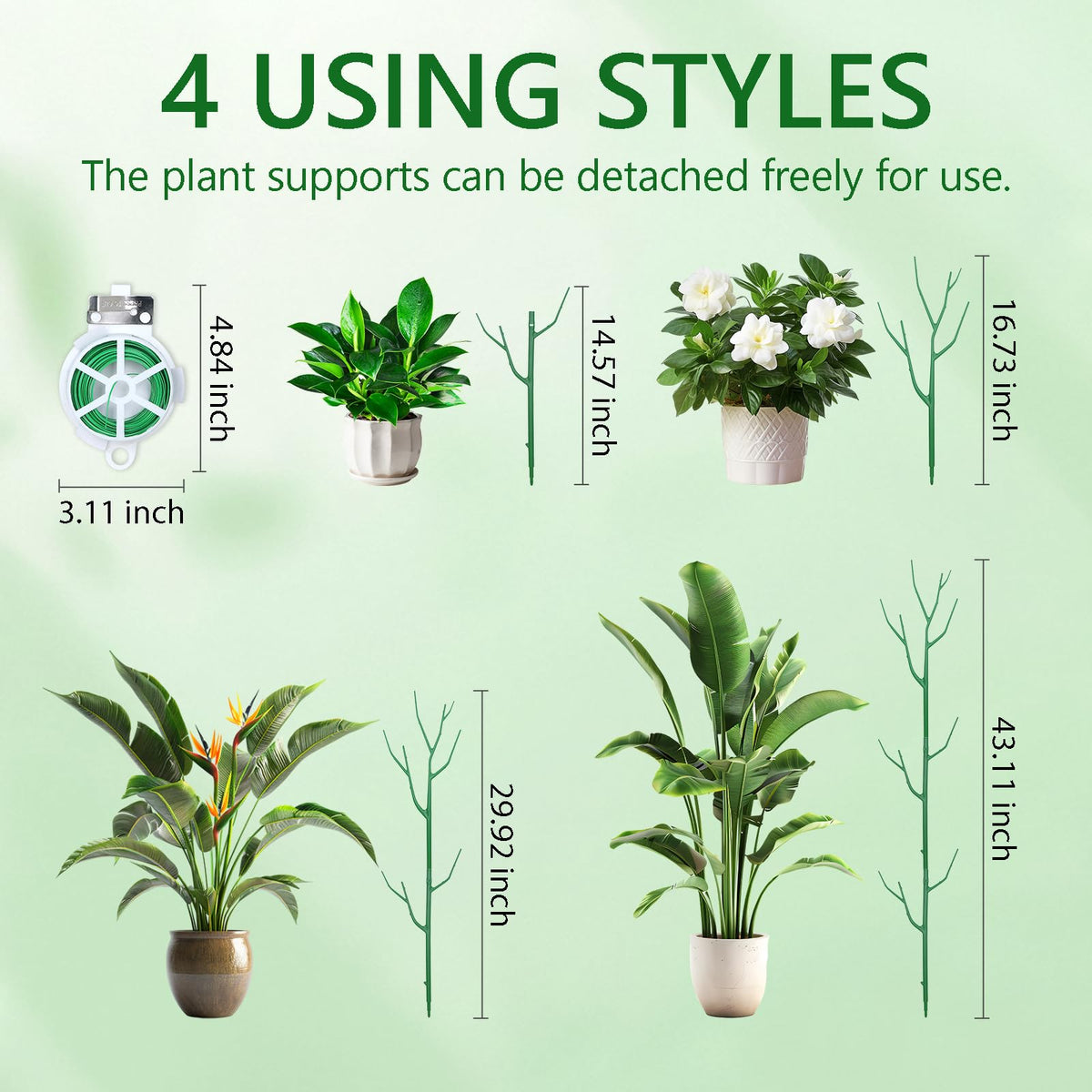 Obralitic Monstera climbing stake provides vertical support for indoor growth.