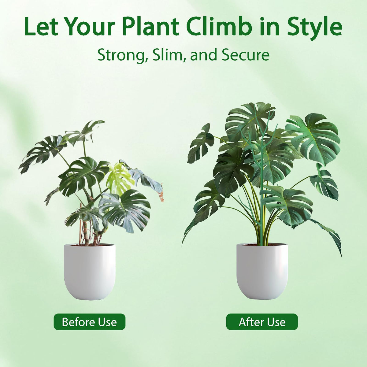 Obralitic tool-free setup makes quick, adjustable plant support easy.