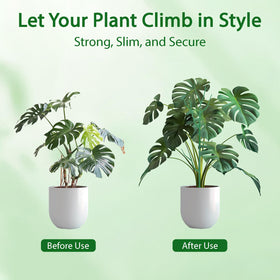 Obralitic tool-free setup makes quick, adjustable plant support easy.