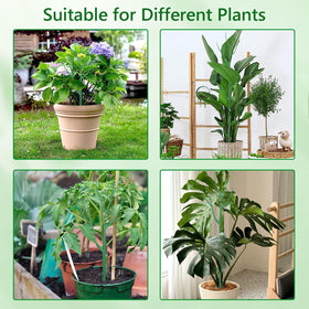 Obralitic versatile vining-plant support works for climbing plants in pots and beds.