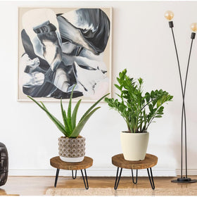 OBTAIN boho rustic plant stand enriching a living room ambiance