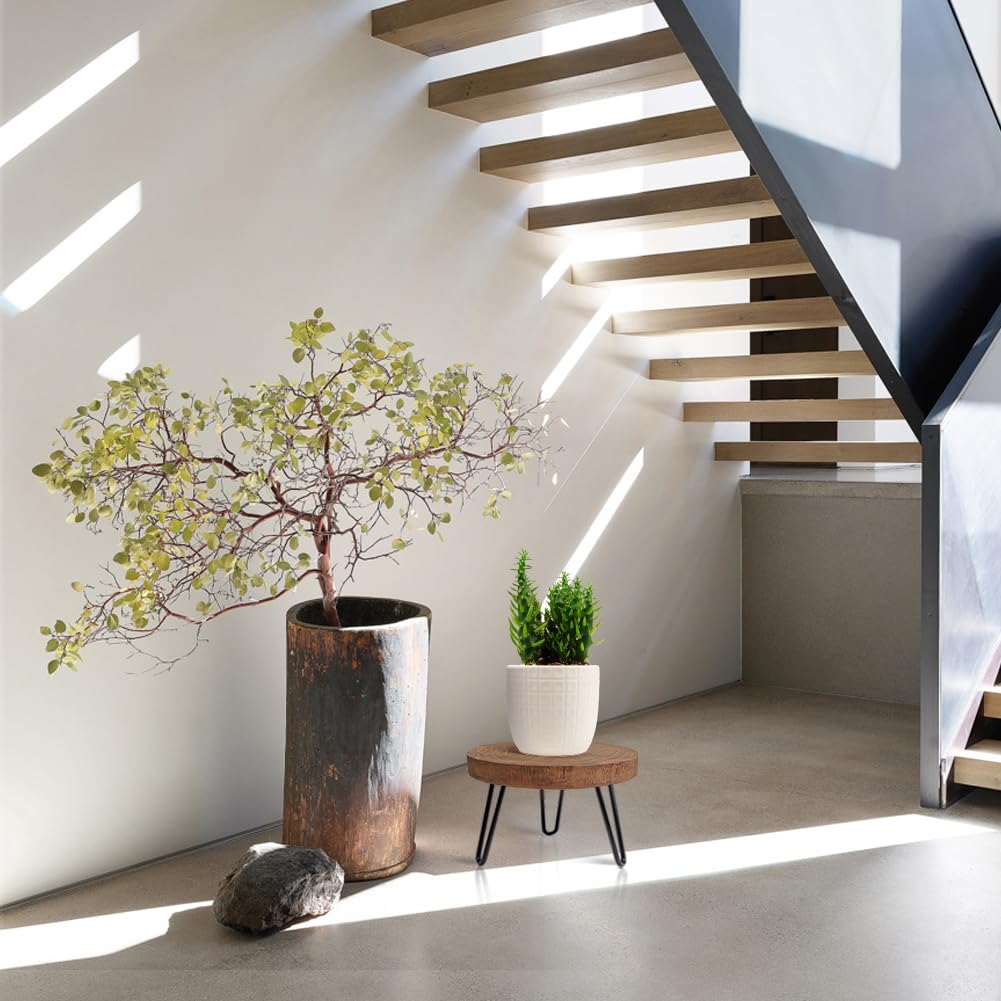 OBTAIN stand supporting five-to-fifteen-inch pots in entryway setting