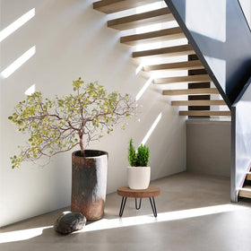 OBTAIN stand supporting five-to-fifteen-inch pots in entryway setting
